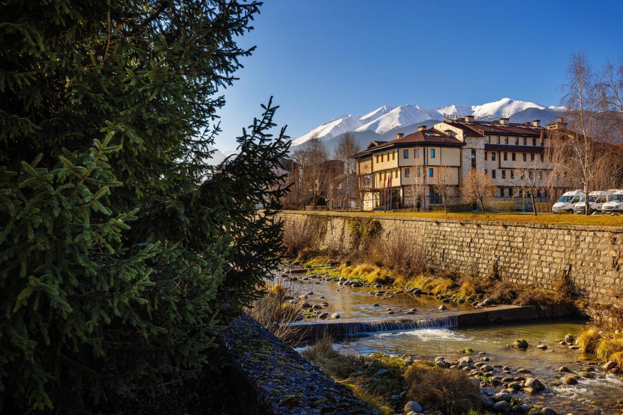 Coliving Bansko, The Social Hotel By Networking Premium Esterno foto